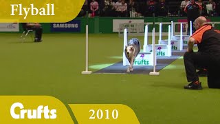 Flyball  Team Finals 2010  Crufts Dog Show [upl. by Legim]