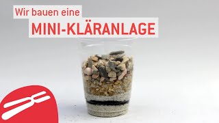 DIYExperiment Selbst gebaute MiniKläranlage [upl. by Theurer]