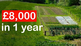 01 Acre Market Garden Tour  £8000 In The First Year [upl. by Miles903]