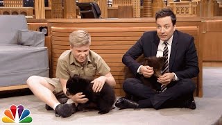 Robert Irwin and Jimmy Play with Baby Black Bears [upl. by Elodie461]