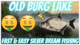 EASY SILVER BREAM FISHING [upl. by Repsac]