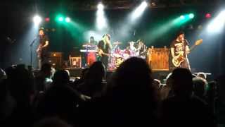 Jaya the Cat  Night Bus  Live Music Hall Köln 2014 [upl. by Terpstra427]