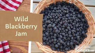 Blackberry Jam  Homemade Delicious Recipe [upl. by Anihpled]