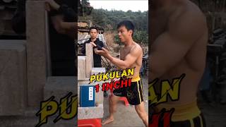 PUKULAN SATU INCI ⁉️  shorts shortvideo [upl. by Neo]