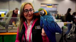 REPORTAGE ESOTIKA PET SHOW AREZZO 2019 [upl. by Isdnyl]