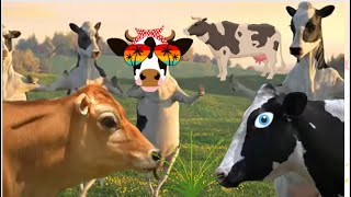 Funny cow dance11 cow song cow soundvideo2023 [upl. by Karub]