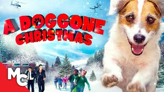 A Doggone Christmas  Full Christmas Movie  Hallmark [upl. by Perretta]