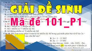 Giải đề Sinh  Mã đề 101Phần 1  Nguyên Sin GV [upl. by Allveta]