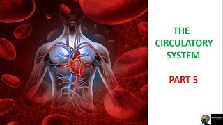 Circulatory System  ICSE Class 10th BiologyPart5 [upl. by Nywroc410]