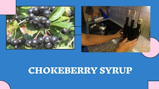 How to Make Chokeberry Syrup ¦¦ Aronia Berry Syrup [upl. by Susana]