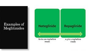 Meglitinides Diabetes Medication [upl. by Nosac758]