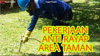 CARA ATASI RAYAP DI TAMAN [upl. by Ahsinat]