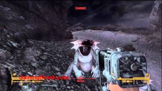 Fallout New Vegas  Barton Thorn Quest Location [upl. by Oetomit]