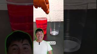 experimento casero con vasos de agua CAPILARIDAD [upl. by Agnimod]