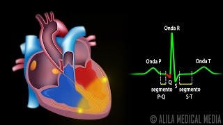 Sistema de Condução do Coração e ECG Animação Alila Medical Media Português [upl. by Lisk]