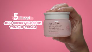 innisfree Jeju Cherry Blossom ToneUp Cream  demo [upl. by Teerpnam]