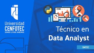 Técnico en Data Analyst [upl. by Saire]