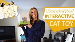 Wonder Pod Interactive Cat Toy Review [upl. by Olenta]