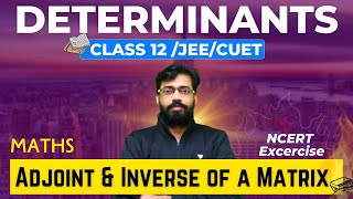 Adjoint amp Inverse of a Matrix 🔥 Determinants 04  Class 12 Maths Chapter 4  Class 12  JEE  CUET [upl. by Navonod733]