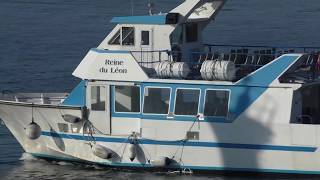 Ferry Reine du Léon Île de Batz To Roscoff Finistère Brittany France 2nd September 2018 [upl. by Aihsoem992]