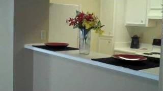 The Preserve at Briarcliff Apartments  Atlanta  3 Bedroom  3B [upl. by Nelyt]