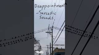 😔 Disappointment  Sarcastic Sounds [upl. by Notnirb]