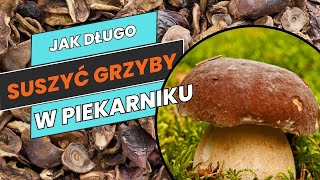 jak długo suszyć grzyby w piekarniku [upl. by Ahsitneuq]