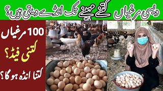 Poultry Farming Business Desi Murgi Farm In Pakistan  100 Hen Complete Profit Details [upl. by Onateag]