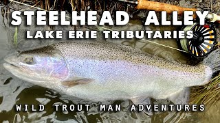 STEELHEAD ALLEY  Fly Fishing Lake Erie Tributaries [upl. by Zemaj]