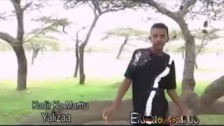 Kadir Martu  Yaa Liizaa Oromo Music [upl. by Cathi]