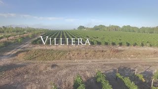 About Villiera Wines [upl. by Feer]