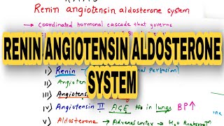 Renin Angiotensin Aldosterone System  RAAS  Explained in hindi [upl. by Eremahs]