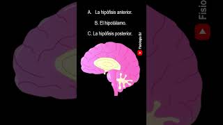 ¿Sabías que las células en tu cuerpo están constantemente renovándose [upl. by Tema]