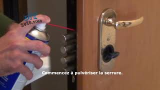 Maintenance des portes et notice dentretien  Comment lubrifier la porte dentrée  Lubrifiant wd40 [upl. by Dobbins705]