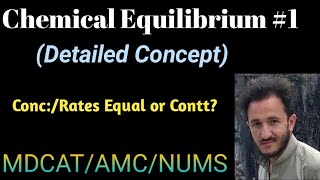 IntroductionChemical Equilibrium class 1011 [upl. by Ahtaga]