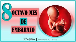 ❤️ OCTAVO MES DE EMBARAZO🤰 ⏩ SEMANA 31 a 35 ⏩ TERCER TRIMESTRE ⏩ Desarrollo y Evolución del Bebe [upl. by Millicent]