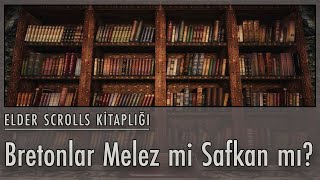 Elder Scrolls Kitaplığı  Bretonlar Melez mi Safkan mı [upl. by Buffy346]