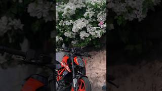 KTM DUKE 39T🤜🤛ZR2 😘😘 VIDEO DEKH [upl. by Aisa]