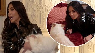 Kim Kardashian is attacked by Karl Lagerfelds Cat Choupette while secretly planning to take her [upl. by Saba]