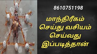 மாந்திரீகம் செய்து வசியம் செய்வது இப்படித்தான் [upl. by Gianina]