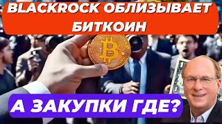 BlackRock ОБЛИЗЫВАЕТ БИТКОИН А ЗАКУПКИ ГДЕ MicroStrategy ЕЩЁ 7 420 BTC  SEC РАСЩЕДРИЛАСЬ [upl. by Nenney]