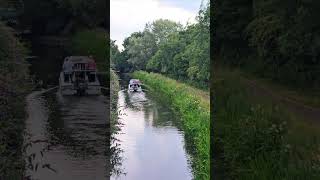 Bridgwater amp Taunton Canal [upl. by Tnomyar]