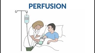 Comment se passe une perfusion [upl. by Ymereg235]