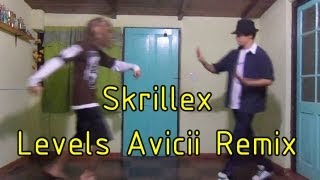 Skrillex  Levels Avicii Remix [upl. by Gavrilla230]