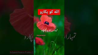 Islamic status for whatsapp🕋 islamicstatusforwhatsapp islamicstatus islamicshorts [upl. by Talmud854]