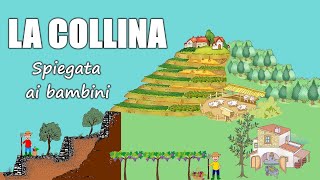 La COLLINA formazione terrazzamenti e attività svolte dalluomo 👨‍🌾 Geografia Scuola Primaria [upl. by Tnayrb37]