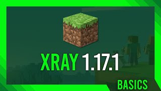 XRay Texture Pack 1171  How to use XRay in 1171 No mods [upl. by Neirod]