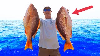 Snapper Fishing 30 MILES Offshore How To Techniques [upl. by Acyssej]