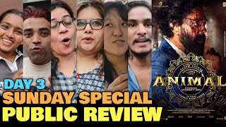 Animal Day 3 PUBLIC REVIEW  Third Day Sunday Special  Ranbir Kapoor Bobby Deol Anil Kapoor [upl. by Larue858]