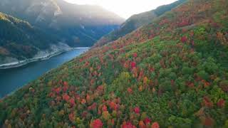 Fall Colors at Pineview Reservoir and Ogden Canyon by Drone [upl. by Camille]